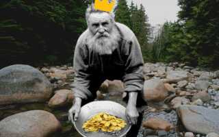 Не нужно золото ему когда простой продукт имеет