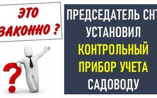 За что отвечает председатель снт