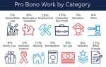 Pro bono что это такое