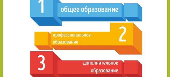 Сколько уровней включает в себя профессиональное образование