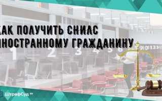 Как получить снилс белорусу удаленщику