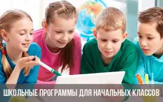 Какие программы в школе бывают