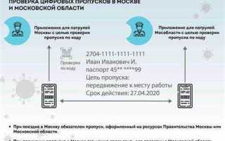 Как получить цифровой пропуск через госуслуги