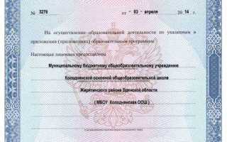 Срок действия лицензии не может быть менее чем