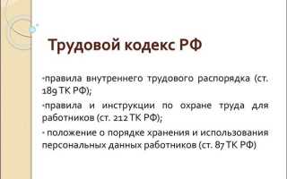 В трудовом кодексе рф в частности записано что трудовой