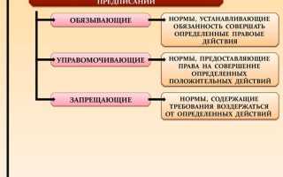 Что такое специальная норма в уголовном праве
