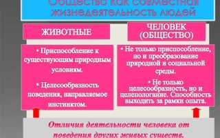 То что дается индивиду обществом принято называть