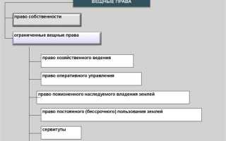 Как соотносятся вещные и интеллектуальные права