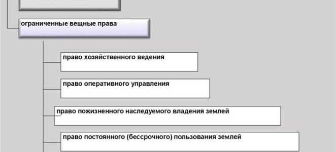 Как соотносятся вещные и интеллектуальные права