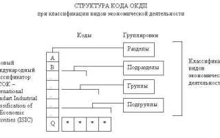 Окдп что это и где его взять