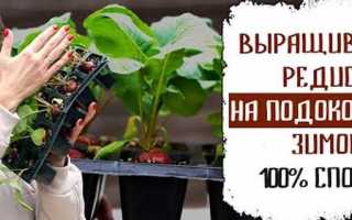 За какие репосты могут посадить