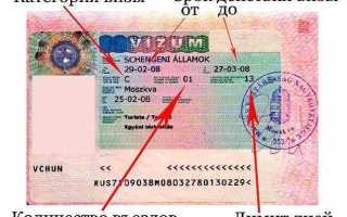 Где ставится виза на документе