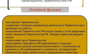Из чего состоит правительство рф