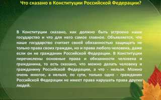 Термин верховенство конституции означает что она