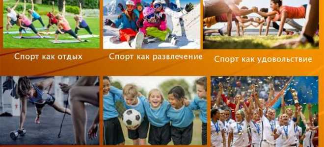 Что означает понятие физическая культура