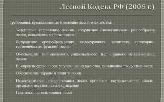 Какие принципы лесного законодательства бывают