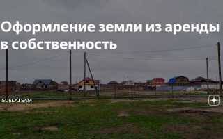 Как оформить участок в собственность из аренды