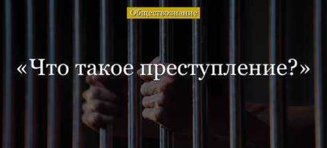 Что является сообщением о преступлении