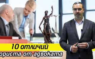 Чем отличается адвокат от представителя