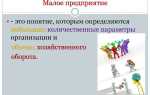 Что такое малое предприятие 2022