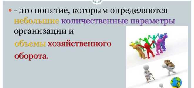 Что такое малое предприятие 2022