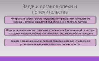 Как определить орган опеки и попечительства по адресу