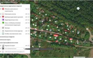 Что такое публичная кадастровая карта