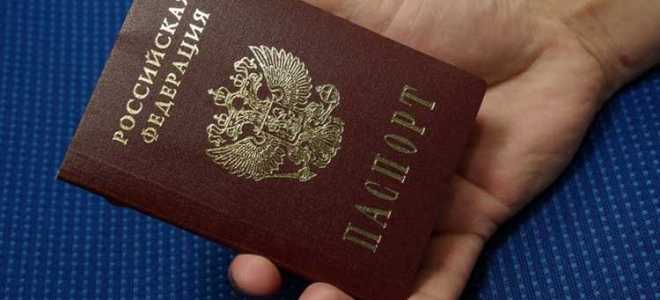 Что можно предъявить вместо паспорта в магазине