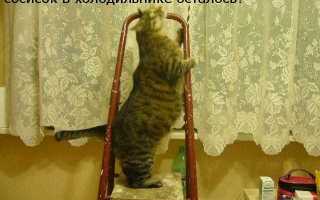 Как навредить соседу в частном доме