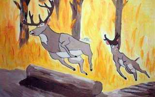 Какие существуют этапы локализации лесного пожара