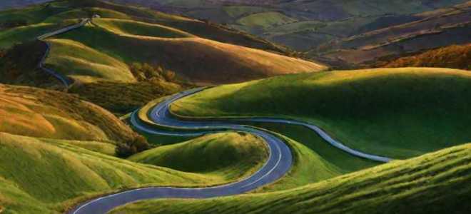 Стоимость в дкп что это