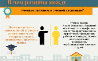 После магистратуры какая ученая степень