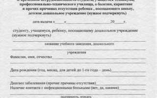 Справка о том что болел в институт