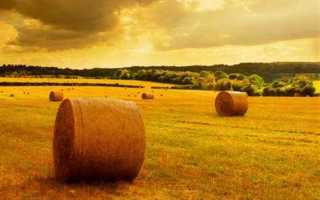 Что такое пай земли сельхозназначения