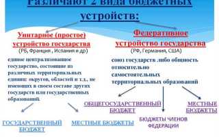Кто является собственником имущества бюджетного учреждения
