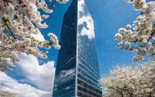 Декларация о деловой репутации где взять