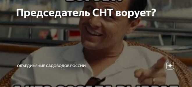 Председатель снт сложила полномочия что можно сделать