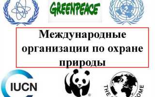 Какая международная организация занимается защитой собственности