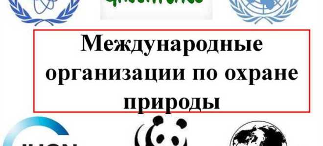 Какая международная организация занимается защитой собственности