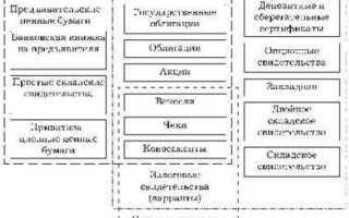 Какие виды ценных бумаг выпускаются государством