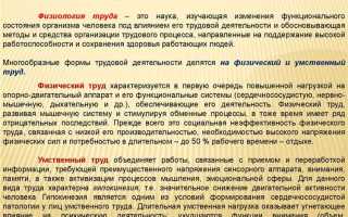 Какие виды трудовой деятельности различают на практике