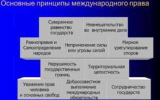 Что такое мп в документах