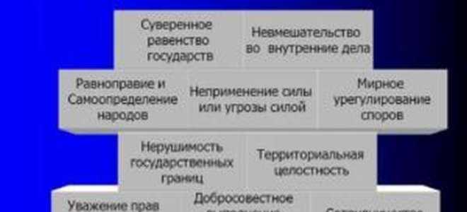 Что такое мп в документах