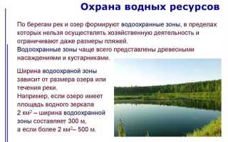 Сколько метров составляет ширина береговой полосы водных объектов общего использования