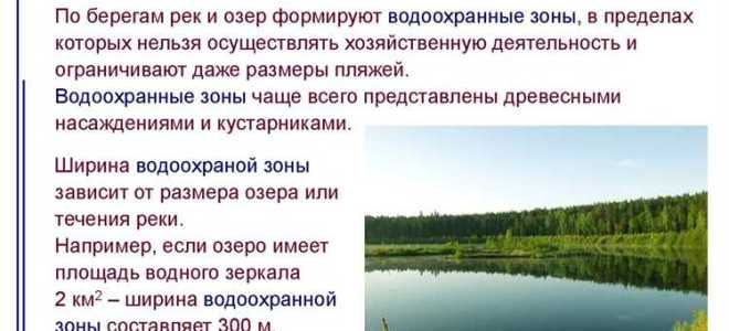 Сколько метров составляет ширина береговой полосы водных объектов общего использования