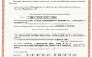 Чин в налоговой инспекции когда присваивается