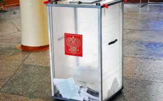 Что такое выборы и референдум