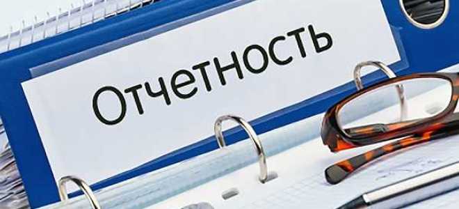 Какой штраф за сзв стаж