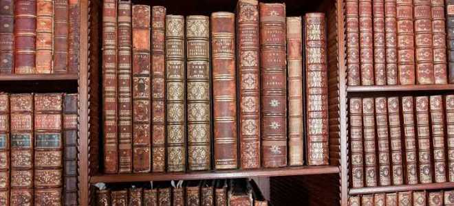 Какая академическая разница допускается при переводе