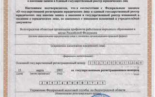 Почему в выписке из егрюл нет сведений об учредителях